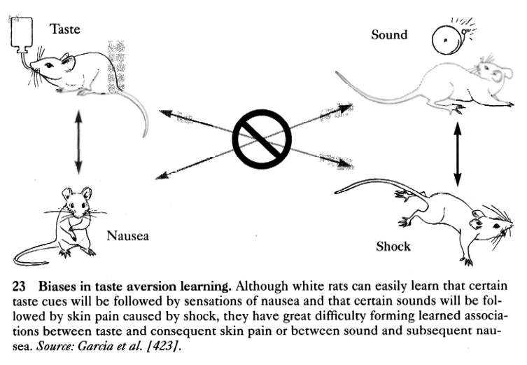 biases.jpg (43281 bytes)